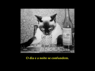 O dia e a noite se confundem.
 