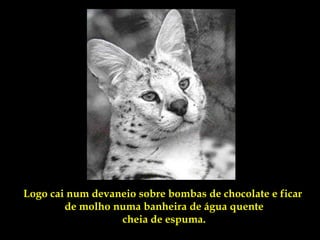 Logo cai num devaneio sobre bombas de chocolate e ficar
        de molho numa banheira de água quente
                  cheia de espuma.
 