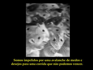 Somos impelidos por uma avalanche de medos e
desejos para uma corrida que não podemos vencer.
 