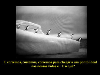 E corremos, corremos, corremos para chegar a um ponto ideal
                 nas nossas vidas e... E o quê?
 