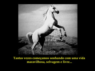 Tantas vezes começamos sonhando com uma vida
         maravilhosa, selvagem e livre...
 