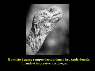E o triste é quase sempre descobrirmos isso tarde demais,
           quando é impossível recomeçar.
 