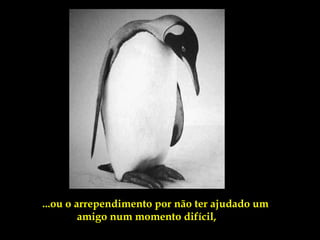 ...ou o arrependimento por não ter ajudado um
         amigo num momento difícil,
 