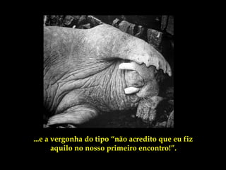 ...e a vergonha do tipo “não acredito que eu fiz
       aquilo no nosso primeiro encontro!”.
 