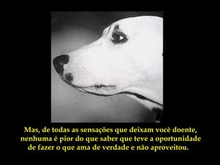 Mas, de todas as sensações que deixam você doente,
nenhuma é pior do que saber que teve a oportunidade
  de fazer o que ama de verdade e não aproveitou.
 