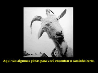 Aqui vão algumas pistas para você encontrar o caminho certo.
 