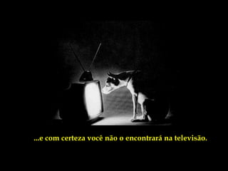 ...e com certeza você não o encontrará na televisão.
 