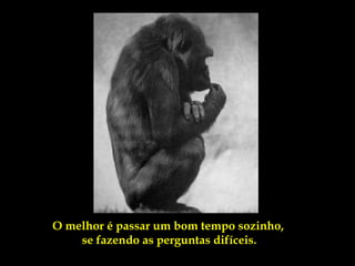 O melhor é passar um bom tempo sozinho,
    se fazendo as perguntas difíceis.
 