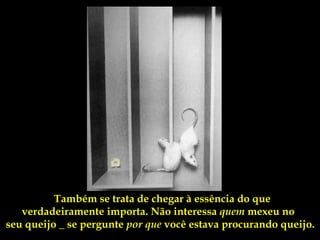 Também se trata de chegar à essência do que
   verdadeiramente importa. Não interessa quem mexeu no
seu queijo _ se pergunte por que você estava procurando queijo.
 