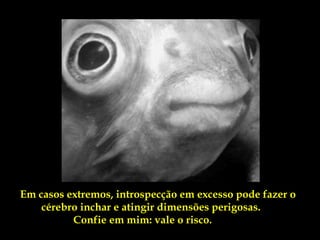 Em casos extremos, introspecção em excesso pode fazer o
    cérebro inchar e atingir dimensões perigosas.
          Confie em mim: vale o risco.
 