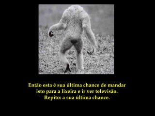 Então esta é sua última chance de mandar
   isto para a lixeira e ir ver televisão.
       Repito: a sua última chance.
 