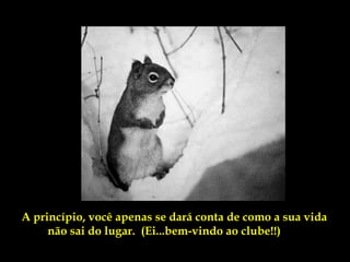 A princípio, você apenas se dará conta de como a sua vida
     não sai do lugar. (Ei...bem-vindo ao clube!!)
 