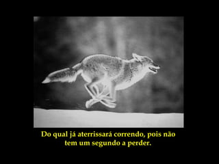 Do qual já aterrissará correndo, pois não
      tem um segundo a perder.
 