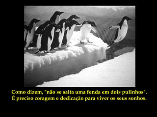 Como dizem, "não se salta uma fenda em dois pulinhos".
É preciso coragem e dedicação para viver os seus sonhos.
 