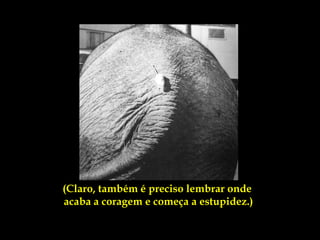 (Claro, também é preciso lembrar onde
acaba a coragem e começa a estupidez.)
 