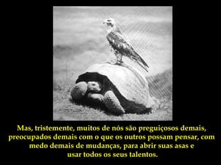 Mas, tristemente, muitos de nós são preguiçosos demais,
preocupados demais com o que os outros possam pensar, com
      medo demais de mudanças, para abrir suas asas e
                usar todos os seus talentos.
 