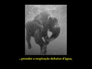...prender a respiração debaixo d'água,
 