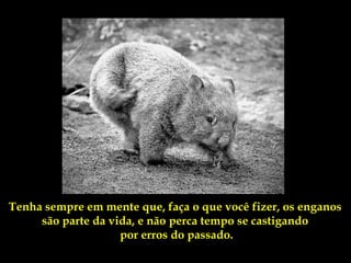 Tenha sempre em mente que, faça o que você fizer, os enganos
     são parte da vida, e não perca tempo se castigando
                    por erros do passado.
 