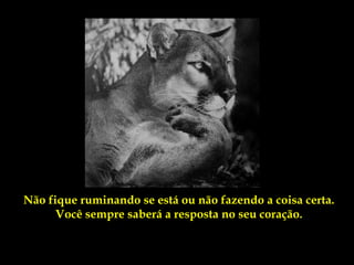 Não fique ruminando se está ou não fazendo a coisa certa.
      Você sempre saberá a resposta no seu coração.
 