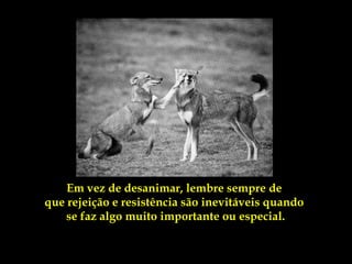 Em vez de desanimar, lembre sempre de
que rejeição e resistência são inevitáveis quando
    se faz algo muito importante ou especial.
 