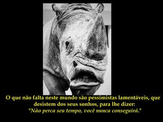 O que não falta neste mundo são pessimistas lamentáveis, que
          desistem dos seus sonhos, para lhe dizer:
        "Não perca seu tempo, você nunca conseguirá."
 