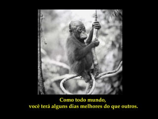 Como todo mundo,
você terá alguns dias melhores do que outros.
 