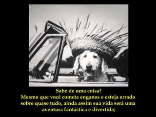 Sabe de uma coisa?
Mesmo que você cometa enganos e esteja errado
sobre quase tudo, ainda assim sua vida será uma
        aventura fantástica e divertida;
 