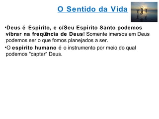 O Sentido da Vida 
•Deus é Espírito, e c/Seu Espírito Santo podemos 
vibrar na freqüência de Deus! Somente imersos em Deus 
podemos ser o que fomos planejados a ser. 
•O espírito humano é o instrumento por meio do qual 
podemos "captar" Deus. 
