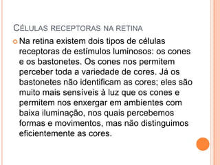CÉLULAS RECEPTORAS NA RETINA
 Na retina existem dois tipos de células
receptoras de estímulos luminosos: os cones
e os bastonetes. Os cones nos permitem
perceber toda a variedade de cores. Já os
bastonetes não identificam as cores; eles são
muito mais sensíveis à luz que os cones e
permitem nos enxergar em ambientes com
baixa iluminação, nos quais percebemos
formas e movimentos, mas não distinguimos
eficientemente as cores.
 