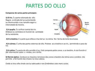 PARTES DO OLLO
Componse de varias partes principais:
1) O iris. É a parte coloreada do ollo.
Regula a entrada de luz aumentando
ou disminuindo o seu tamaño según a
intensidade da mesma.
2) A pupila. É o orificio central do iris.
Dilátase ou contráese en función da cantidade
de luz existente.
3) O cristalino. É a parte que enfoca o haz de luz na retina. Ten forma de lente biconvexa.
4) A córnea. É unha das partes externas do ollo. Protexe ao cristalino e ao iris, permitindo o paso da
luz.
5) A retina. É a parte do ollo sensible á luz. Está composta polos conos e os bastóns. A súa función é
dar información sobre a nitidez, cor e brillo.
6) Nervio óptico. Conduce os impulsos nerviosos dos conos e bastóns da retina cara o cerebro. Isto
permite a formación das imaxes na nosa cabeza.
Coida os teus ollos lendo coa luz adecuada e non frotándoos coas mans sucias.
 