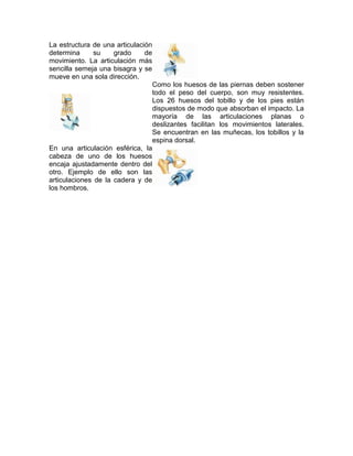 La estructura de una articulación
determina su grado de
movimiento. La articulación más
sencilla semeja una bisagra y se
mueve en una sola dirección.
Como los huesos de las piernas deben sostener
todo el peso del cuerpo, son muy resistentes.
Los 26 huesos del tobillo y de los pies están
dispuestos de modo que absorban el impacto. La
mayoría de las articulaciones planas o
deslizantes facilitan los movimientos laterales.
Se encuentran en las muñecas, los tobillos y la
espina dorsal.
En una articulación esférica, la
cabeza de uno de los huesos
encaja ajustadamente dentro del
otro. Ejemplo de ello son las
articulaciones de la cadera y de
los hombros.
 