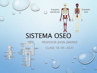 SISTEMA OSEO
PROFESOR JHON JIMENEZ
CLASE 18-05-2021
 