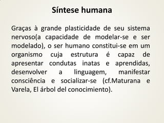 Síntese humana
Graças à grande plasticidade de seu sistema
nervoso(a capacidade de modelar-se e ser
modelado), o ser humano constitui-se em um
organismo cuja estrutura é capaz de
apresentar condutas inatas e aprendidas,
desenvolver      a     linguagem,   manifestar
consciência e socializar-se (cf.Maturana e
Varela, El árbol del conocimiento).
 