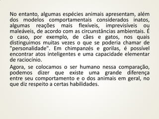 No entanto, algumas espécies animais apresentam, além
dos modelos comportamentais considerados inatos,
algumas reações mais flexíveis, imprevisíveis ou
maleáveis, de acordo com as circunstâncias ambientais. É
o caso, por exemplo, de cães e gatos, nos quais
distinguimos muitas vezes o que se poderia chamar de
"personalidade". Em chimpanzés e gorilas, é possível
encontrar atos inteligentes e uma capacidade elementar
de raciocínio.
Agora, se colocamos o ser humano nessa comparação,
podemos dizer que existe uma grande diferença
entre seu comportamento e o dos animais em geral, no
que diz respeito a certas habilidades.
 