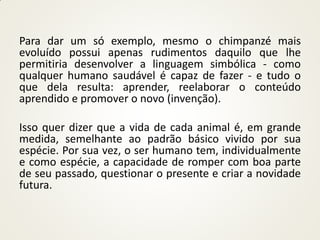 Para dar um só exemplo, mesmo o chimpanzé mais
evoluído possui apenas rudimentos daquilo que lhe
permitiria desenvolver a linguagem simbólica - como
qualquer humano saudável é capaz de fazer - e tudo o
que dela resulta: aprender, reelaborar o conteúdo
aprendido e promover o novo (invenção).

Isso quer dizer que a vida de cada animal é, em grande
medida, semelhante ao padrão básico vivido por sua
espécie. Por sua vez, o ser humano tem, individualmente
e como espécie, a capacidade de romper com boa parte
de seu passado, questionar o presente e criar a novidade
futura.
 
