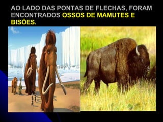 AO LADO DAS PONTAS DE FLECHAS, FORAM ENCONTRADOS  OSSOS DE MAMUTES E BISÕES. 