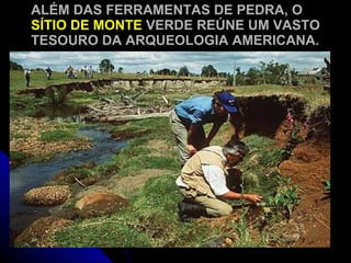 ALÉM DAS FERRAMENTAS DE PEDRA, O  SÍTIO DE MONTE  VERDE REÚNE UM VASTO TESOURO DA ARQUEOLOGIA AMERICANA. 