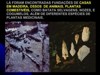 LÁ FORAM ENCONTRADAS FUNDAÇÕES DE  CASAS EM MADEIRA ,  OSSOS  DE ANIMAIS ,  PLANTAS COMESTIVÉIS , COMO BATATA SELVAGENS, NOZES, E COGUMELOS, ALÉM DE DIFERENTES ESPÉCIES DE PLANTAS MEDICINAIS. 