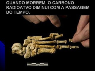 QUANDO MORREM, O CARBONO RADIOATVO DIMINUI COM A PASSAGEM DO TEMPO. 