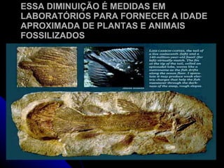 ESSA DIMINUIÇÃO É MEDIDAS EM LABORATÓRIOS PARA FORNECER A IDADE APROXIMADA DE PLANTAS E ANIMAIS FOSSILIZADOS 