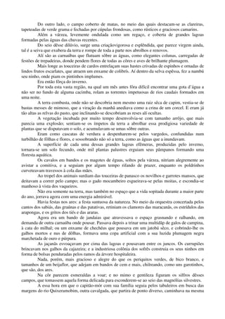 Do outro lado, o campo coberto de matas, no meio das quais destacam-se as clareiras,
tapeteadas de verde grama e fechadas por cúpulas frondosas, como rústicos e graciosos camarins.
Além a várzea, levemente ondulada como um regaço, e coberta de grandes lagoas
formadas pelas águas das chuvas recentes.
Do seio dêsse dilúvio, surge uma criaçãovigorosa e esplêndida, que parece virgem ainda,
tal é a seiva que exubera da terra e rompe de toda a parte nos abrolhos e renovos.
Alí são as carnaúbas que flutuam sôbre as águas, como elegantes colunas, carregadas de
festões de trepadeiras, donde pendem flores de todas as côres e aves de brilhante plumagem.
Mais longe as touceiras de cardos entrelaçam suas hastes crivadas de espinhos e ornadas de
lindos frutos escarlates, que atraem um enxame de colibrís. Aí dentro da selva espêssa, fez a nambú
seu ninho, onde piam os pintinhos implumes.
Era então fôrça do inverno.
Por toda esta vasta região, na qual um mês antes fôra difícil encontrar uma gota d’água a
não ser no fundo de alguma cacimba, rolam as torrentes impetuosas de rios caudais formados em
uma noite.
A terra combusta, onde não se descobria nem mesmo uma raiz sêca de capim, vestia-se de
bastas messes de mimoso, que a viração da manhã anediava como a crina de um corcel. E eram já
tão altas as relvas do pasto, que inclinando-se descobriam as reses alí ocultas.
A vegetação incubada por muito tempo desenvolvia-se com tamanho arrôjo, que mais
parecia uma explosão; sentiam-se os ímpetos da terra a abrolhar essa prodigiosa variedade de
plantas que se disputavam o solo, e acumulavam-se umas sôbre outras.
Eram como cascatas de verdura a despenharem-se pelos vargedos, confundidas num
turbilhão de fôlhas e flores, e sossobrando não só a terra, como as águas que a inundavam.
A superfície de cada uma dessas grandes lagoas efêmeras, produzidas pelo inverno,
tornara-se um solo fecundo, onde mil plantas palustres erguiam seus pâmpanos formando uma
floresta aquática.
Os cavalos em bandos e os magotes de éguas, soltos pela várzea, nitriam alegremente ao
avistar a comitiva, e a seguiam por algum tempo rifando de prazer, enquanto os poldrinhos
curveteavam travessos à cola das mães.
Ao tropel dos animais surdiam das touceiras de panasco os novilhos e garrotes mansos, que
deitavam a correr pelo campo; mas o gado mocambeiro esgueirava-se pelas moitas, e escondia-se
manhoso à vista dos vaqueiros.
Não era somente na terra, mas também no espaço que a vida sopitada durante a maior parte
do ano, jorrava agora com uma energia admirável.
Havia festas nos ares: a festa suntuosa da natureza. No meio da orquestra concertada pelos
cantos dos sabiás, das graúnas e das patativas, retiniam os clamores das maracanãs, os estrídulos das
arapongas, e os gritos dos tiés e das araras.
Agora era um bando de jandaias que atravessava o espaço grasnando e ralhando, em
demanda de outra carnaúba onde pousar. Passava depois a trinar uma multidãp de galos de campina,
à cata do milhal; ou um enxame de chechéus que pousava em um jatobá sêco, e cobrindo-lhe os
galhos mortos e nus de dôlhas, formava uma copa artificial com a sua luzida plumagem negra
marchetada de ouro e púrpura.
As jaçanãs esvoaçavam por cima das lagoas e pousavam entre os juncos. Os currupiões
brincavam nos galhos da cajazeira; e a industriosa colônia dos sofrês construia os seus ninhos em
forma de bolsas penduradas pelos ramos da árvore hospitaleira.
Nada, porém, mais gracioso e alegre do que os periquitos verdes, de bico branco, e
tamanhos de um beijaflor, que adejam em bandos de cem e mais, chilreando, como uns garotinhos,
que são, dos ares.
Na côr parecem esmeraldas a voar; e no mimo e gentileza figuram os silfros dêsses
campos, que tomassem aquela forma delicada para esconderem-se ao seio das magnólias silvestres.
A essa hora em que o capitão-mór com sua família seguia pelos tabuleiros em busca das
margens do rio Quixeramobim, outra cavalgada, que partira de ponto diverso, caminhava na mesma
 