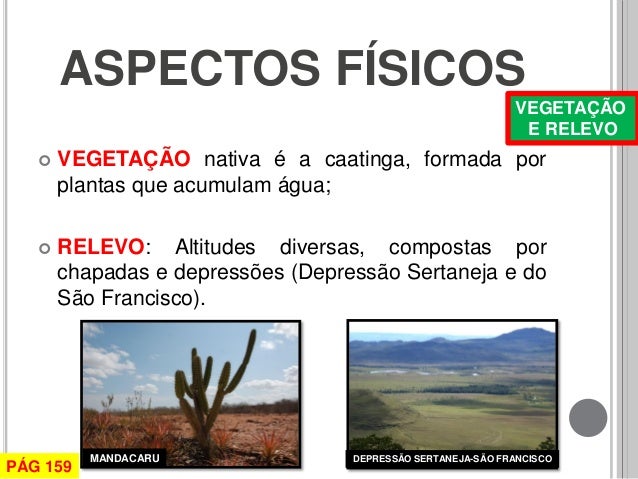 O sertão e o meio norte