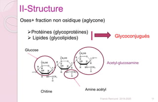 II-Structure
Franck Rencurel 2019-2020 11
Oses+ fraction non osidique (aglycone)
Protéines (glycoprotéines)
 Lipides (glycolipides) Glycoconjugués
Chitine
Glucose
Amine acétyl
Acetyl-glucosamine
 