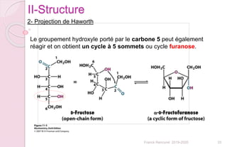 33Franck Rencurel 2019-2020
II-Structure
Le groupement hydroxyle porté par le carbone 5 peut également
réagir et on obtient un cycle à 5 sommets ou cycle furanose.
2- Projection de Haworth
 