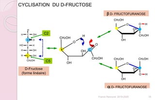 D-Fructose
(forme linéaire)
CYCLISATION DU D-FRUCTOSE
a D- FRUCTOFURANOSE
C
CH2OH
OH
O
CH2OH
O
H
OH
OH
CH2OH
O
OH
CH2OH
O H
b D- FRUCTOFURANOSE
CH2OH
HO
C O
C
C
C
C
OHH
OH
OH
H
H
H
H
OH
CH2OH
O
OH
CH2OH
O H
C5
C2
35Franck Rencurel 2019-2020
 