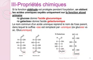 39Franck Rencurel 2019-2020
III-Propriétés chimiques
Si la fonction aldéhyde est protégée pendant l'oxydation, on obtient
les acides uroniques oxydés uniquement sur la fonction alcool
primaire:
•le glucose donne l'acide glucuronique
•le galactose donne l'acide galacturonique
Le nom commun d'un acide uronique reprend le nom de l'ose parent,
dans lequel le suffixe -ose est remplacé par -uronique (ex glucose vs
ac. Glucuronique)
 