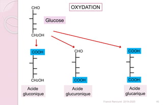CHO
CH2OH
COOH
CH2OH
Glucose
Acide
gluconique
OXYDATION
CHO
COOH
Acide
glucuronique
COOH
COOH
Acide
glucarique
40Franck Rencurel 2019-2020
 