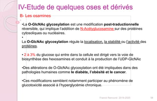 58Franck Rencurel 2019-2020
•La O-GlcNAc glycosylation est une modification post-traductionnelle
réversible, qui implique l’addition de N-Acétyglucosamine sur des protéines
cytosoliques ou nucléaires.
•
La O-GlcNAc glycosylation régule la localisation, la stabilité ou l’activité des
protéines.
• 2 à 3% du glucose qui entre dans la cellule est dirigé vers la voie de
biosynthèse des hexosamines et conduit à la production de l’UDP-GlcNAc
•Des altérations de O-GlcNAc glycosylation ont été impliquées dans des
pathologies humaines comme le diabète, l’obésité et le cancer.
•Ces modifications semblent notamment participer au phénomène de
glucotoxicité associé à l’hyperglycémie chronique.
IV-Etude de quelques oses et dérivés
B- Les osamines
 