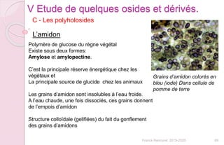 69Franck Rencurel 2019-2020
C - Les polyholosides
V Etude de quelques osides et dérivés.
L’amidon
Grains d’amidon colorés en
bleu (iode) Dans cellule de
pomme de terre
Polymère de glucose du règne végétal
Existe sous deux formes:
Amylose et amylopectine.
C’est la principale réserve énergétique chez les
végétaux et
La principale source de glucide chez les animaux
Les grains d’amidon sont insolubles à l’eau froide.
A l’eau chaude, une fois dissociés, ces grains donnent
de l’empois d’amidon
Structure colloïdale (gelifiées) du fait du gonflement
des grains d’amidons
 