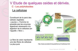 Franck Rencurel 2019-2020 76
C - Les polyholosides
V Etude de quelques osides et dérivés.
La cellulose
Constituant de la paroi des
cellules végétales
« jeunes », l’homme ne
possède pas les enzymes
digestives nécessaire à la
digestion de la cellulose (on
l’appelle « fibre ».
http://www.societechimiquedefrance.fr/cellulose.html
La fibre de coton représente
une des fibres de cellulose
La plus pure
 